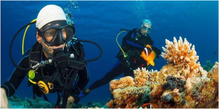Scuba diving in Goa