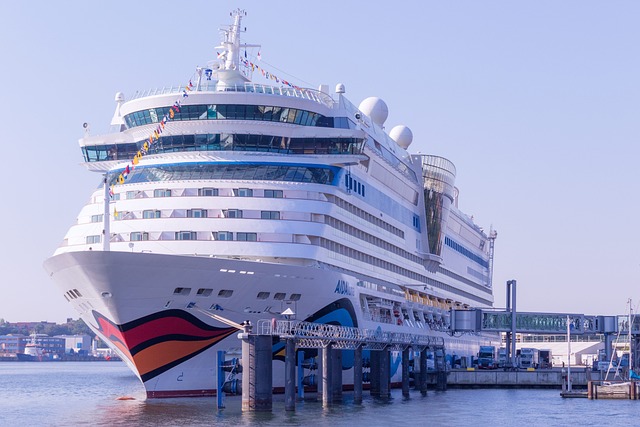 Cruise Port Travels