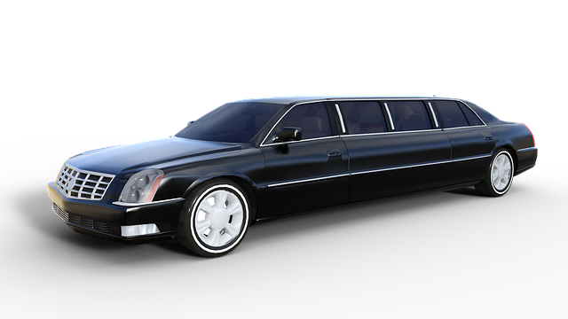 Best Limousine Service Companies in Florida