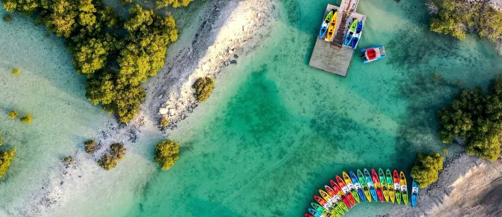 abu dhabi mangrove walk